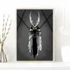 S70a25bfeb2774cb397523c38af3d066dd - Hollow Knight AU Store